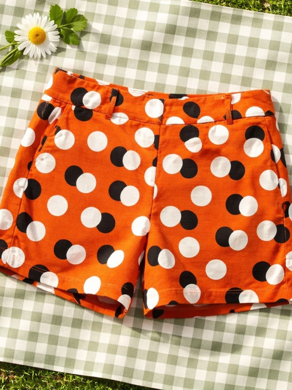Ann Taylor Signature Collection Polkadot Print Short